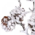 Floristik24 Christmas branch decorative branch cone branch snow-covered 72cm
