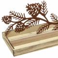 Floristik24 Wooden tray cone branch patina 50cm × 17cm