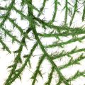 Artificial Bamboo Tree Green