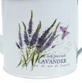 Floristik24 Zinc watering can Ø10,5cm H10cm with lavender