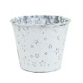 Floristik24 Zinc pot with stars Ø12cm H10cm washed white 6pcs