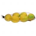 Floristik24 Decorative lemons 10cm 6pcs