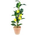 Floristik24 Lemon tree in pot artificial plant 42cm