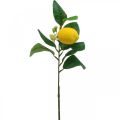 Floristik24 Deco branch lemon artificial lemon branch 42cm 3pcs