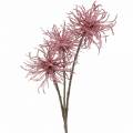 Floristik24 Artificial clematis branch pink with glitter 46cm