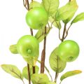 Floristik24 Artificial decorative branch apple branch green 80cm