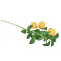 Floristik24 Artificial decorative branch pear branch yellow 75cm