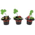 Lucky charm clover and beetle in a top hat, 7cm, 3 pieces | Floristik24.co.uk