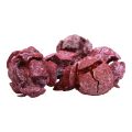Floristik24 Cypress cones frosted natural decoration 3cm dark red 500g