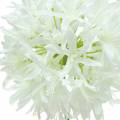 Floristik24 Allium Artificial White Ø12cm H62cm