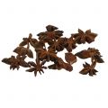 Floristik24 Star anise decorative craft item natural decoration dried anise 250g