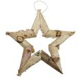 Floristik24 Birch star for hanging 22cm