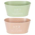 Oval zinc flower bowl, 27 x 18 cm, H 12.5 cm, various colors | Floristik24.co.uk
