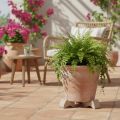 Flower pot feet, practical riser, pot accessory for balcony and terrace, 7cm, 3 pieces | Floristik24.co.uk