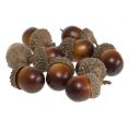 Floristik24 Decorative acorns 3cm 36pcs