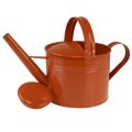 Metal decorative watering can in country style, orange-brown, 26cm, 5L - Versatile use as a planter &amp; decorative can | Floristik24.co.uk