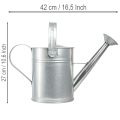 Decorative watering can, retro design, metal, silver, 42x15.5x27cm, vintage balcony decoration, flower pot | Floristik24.co.uk