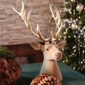 Decorative Deer Head Sculpture with Golden Antlers, 52cm, Interior Decoration | Floristik24.co.uk
