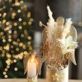 Decoration Pampas Grass Cream Dried Grasses Bleached 95cm 3 Pcs | Floristik24.co.uk