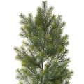 Floristik24 Artificial Pine Branch Garland for Creative Floristry, 175cm, Green