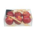 Floristik24 Decorative apples 4cm dark red 6pcs