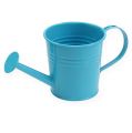 Floristik24 Watering can Ø5,5cm H5,5cm 12pcs. Blue / White / Turquoise