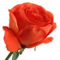 Floristik24 Deco-roses orange 32cm 6pcs