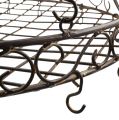 Floristik24 Tray with hooks for hanging brown, rust Ø45cm