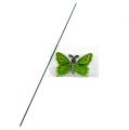 Floristik24 Butterfly on the stick 17cm green