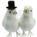 Floristik24 Dove pair with hat and veil 13cm 4pcs