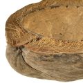 Coconut planter, natural, 20cm, 5 pieces | Floristik24.co.uk