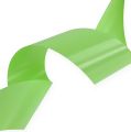 Floristik24 Curling ribbon 50mm 100m light green