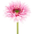 Floristik24 Artificial Gerbera Garden Flowers, Pink, 47cm, 6 Pieces