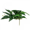 Floristik24 Artificial Begonia Artificial Plant Green, Dark Green 42×28cm