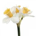 Floristik24 Artificial Daffodil Silk Flowers White Daffodil 40cm 3pcs