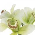 Floristik24 Artificial orchids artificial flowers in vase white/green 28cm