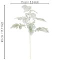 Artificial Senecio branch (ragwort), intricately crafted, 45cm, 3 pieces | Floristik24.co.uk