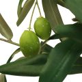Floristik24 Artificial olive tree in a pot Artificial plant Olive H63.5cm