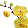 Floristik24 Artificial orchid yellow 68cm