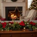 LED Star with Battery Box on Stand, Black, 46 cm for Indoor Decoration | Floristik24.co.uk