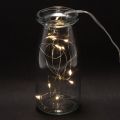 Battery-Operated Warm White LED String Lights with Timer, 10 LEDs, 1m, Indoor Use | Floristik24.co.uk