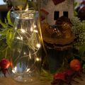 Battery-Operated Warm White LED String Lights with Timer, 10 LEDs, 1m, Indoor Use | Floristik24.co.uk