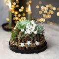 Metal Tray Round Candle Tray Black Ø20cm H2.5cm 2pcs | Floristik24.co.uk