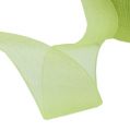 Floristik24 Organza ribbon in light green 15mm 50m