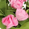 Floristik24 Table decoration mini roses in pink 16cm