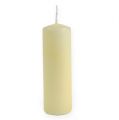 Floristik24 Pillar candle 120/40 cream 24pcs