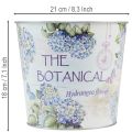 Hydrangea planter, metal flower pot, Ø21cm H18cm | Floristik24.co.uk